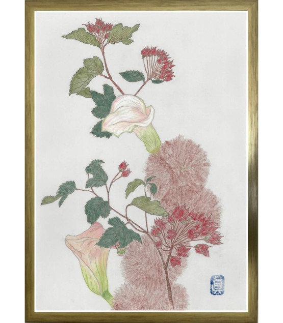 Botanical Drawing - Calla-Continus 2025