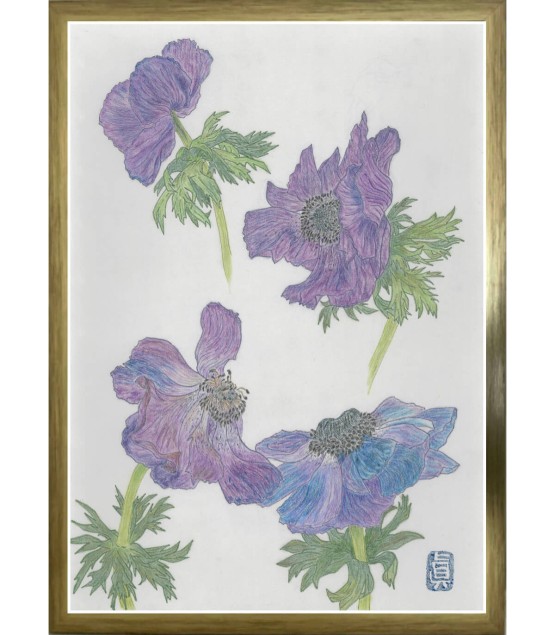 植物画 - Anémone Bleu 2025
