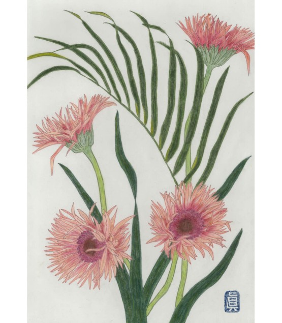 植物画 - Gerbera 2025