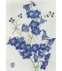 Dessin Botanique - Delphinium Bleu 2025