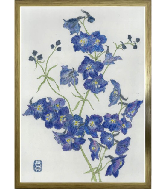 Dessin Botanique - Delphinium Bleu 2025