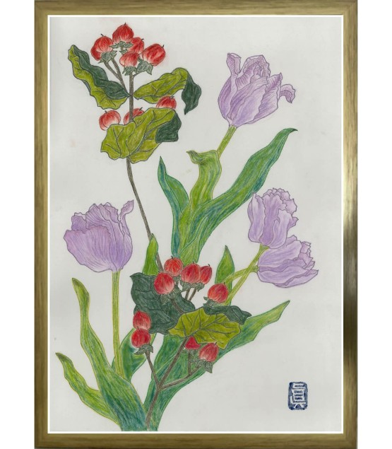 Dessin Botanique - Tulipe Violet 2 2025