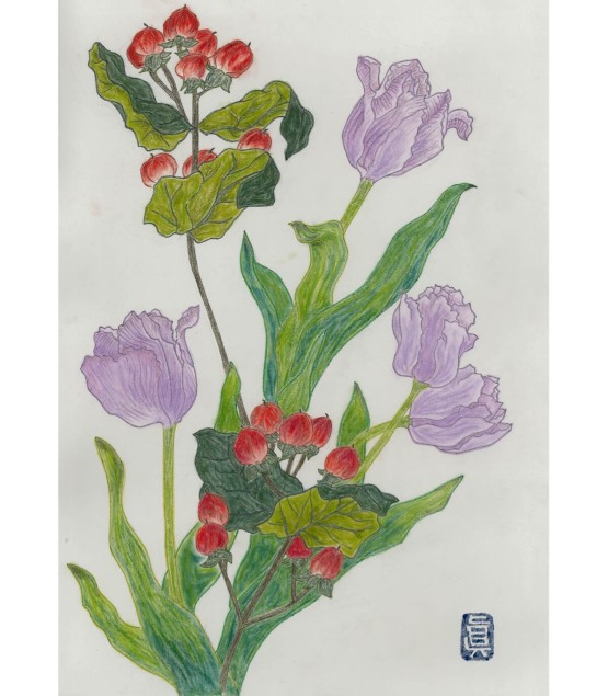 Dessin Botanique - Tulipe Violet 2 2025