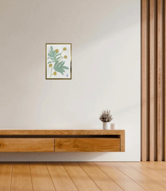 Dessin Botanique - Craspedia