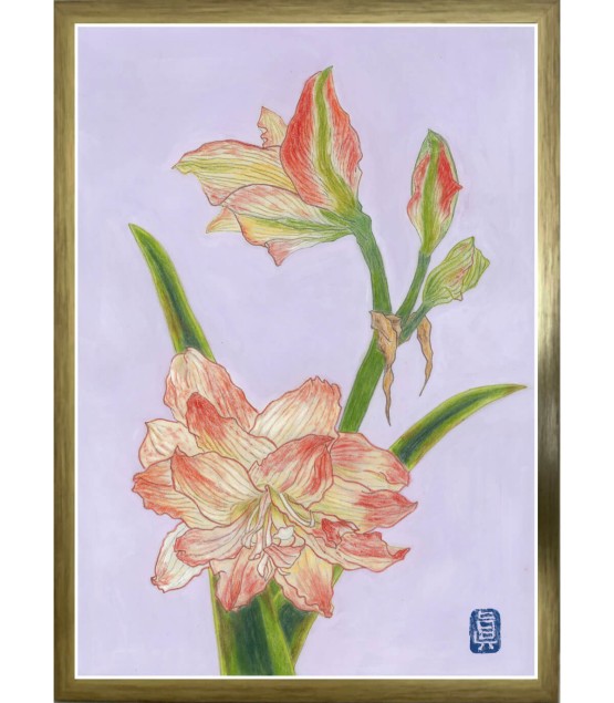 植物画 - Amalyris Blanc 2025