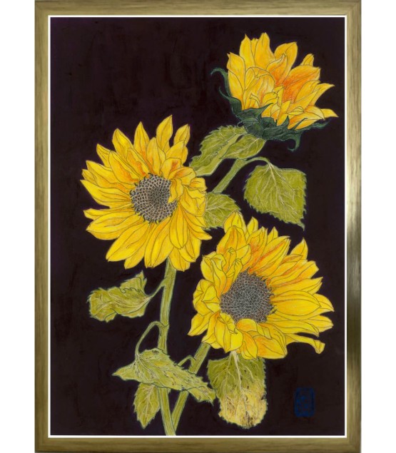 Dessin Botanique - Tournesol 6 2025