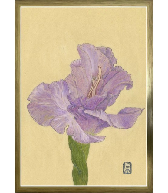 植物画 - Glaieul 2 2024