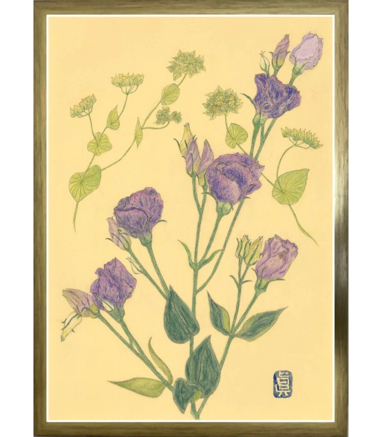 Botanical Drawing - Lisianthus