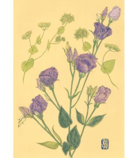 植物画 - Lisianthus