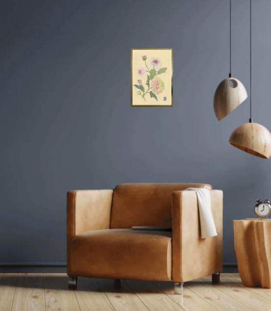 Dessin Botanique - Chrysanthème Rose Verte